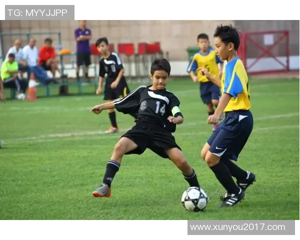 北京乒乓球队耐力革命引发热议运动员训练新模式探讨